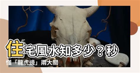 臥室龍邊虎邊|【住宅龍虎邊】住宅風水知多少？秒懂「龍虎邊」兩大。